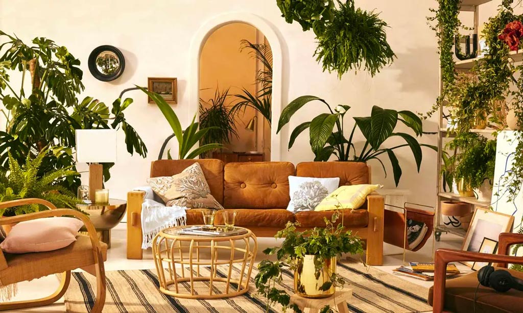 Ideas para decorar tu hogar con plantas: descubre 20 especies